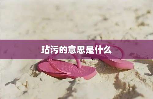 玷污的意思是什么