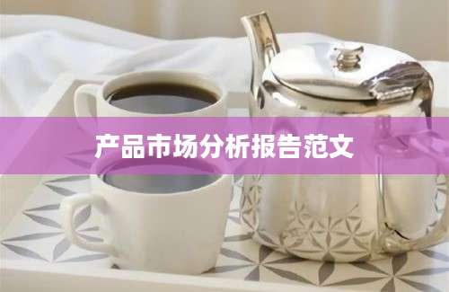 产品市场分析报告范文