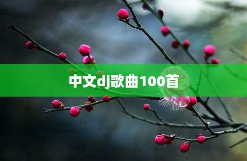 中文dj歌曲100首