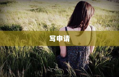 写申请