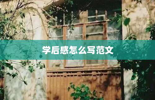 学后感怎么写范文
