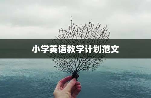小学英语教学计划范文