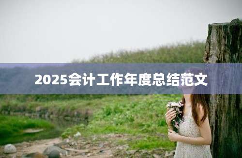 2025会计工作年度总结范文