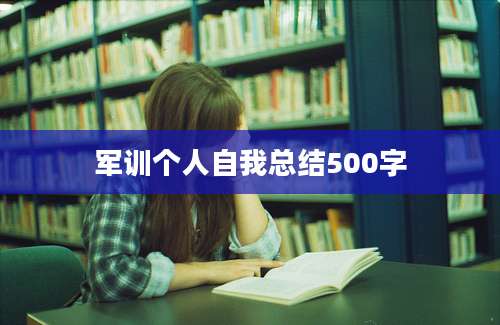 军训个人自我总结500字