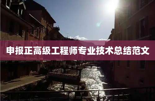 申报正高级工程师专业技术总结范文