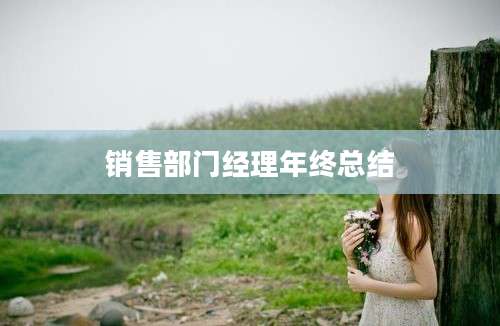 销售部门经理年终总结