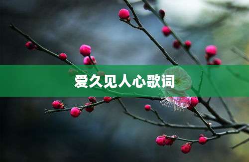 爱久见人心歌词
