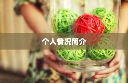 个人情况简介