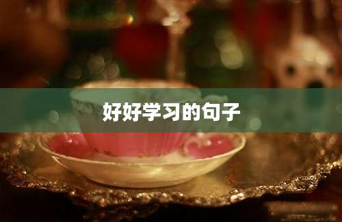 好好学习的句子