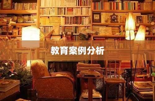 教育案例分析