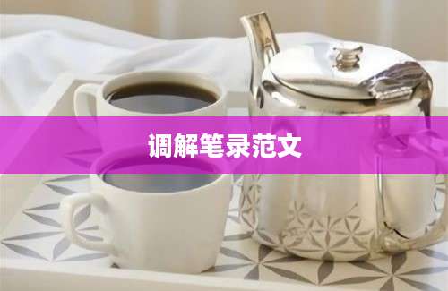 调解笔录范文