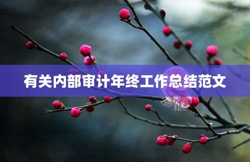 有关内部审计年终工作总结范文
