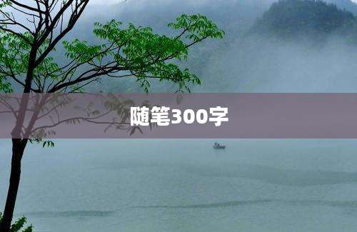 随笔300字