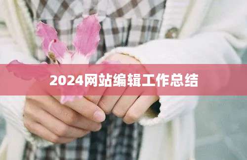 2024网站编辑工作总结