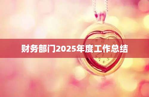 财务部门2025年度工作总结