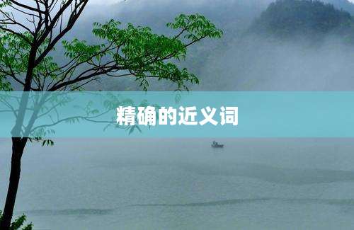 精确的近义词