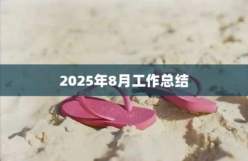 2025年8月工作总结