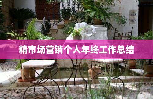 精市场营销个人年终工作总结