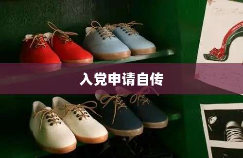 入党申请自传