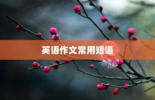 英语作文常用短语