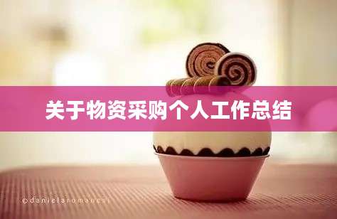 关于物资采购个人工作总结