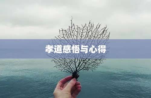 孝道感悟与心得