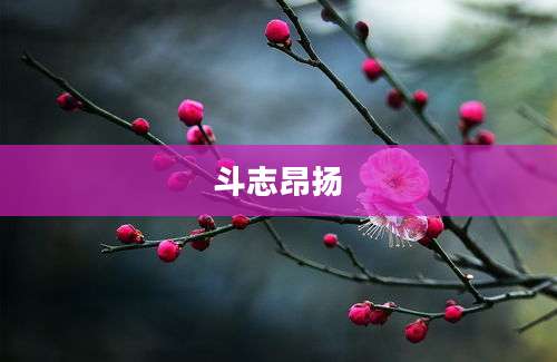 斗志昂扬