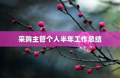 采购主管个人半年工作总结