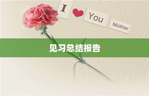 见习总结报告