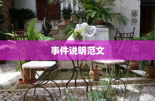 事件说明范文