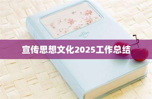 宣传思想文化2025工作总结