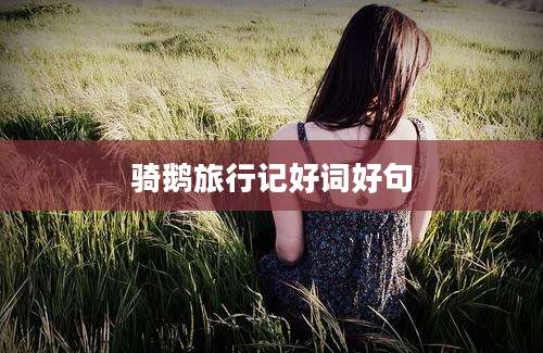 骑鹅旅行记好词好句