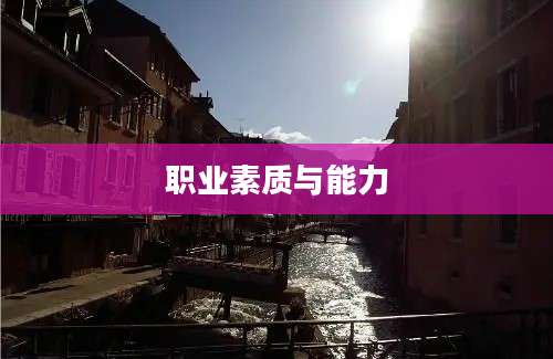 职业素质与能力
