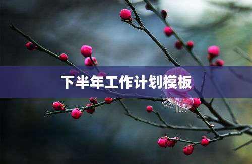 下半年工作计划模板