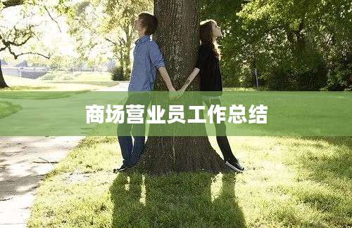 商场营业员工作总结