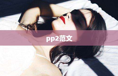 pp2范文