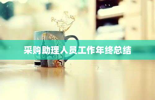 采购助理人员工作年终总结