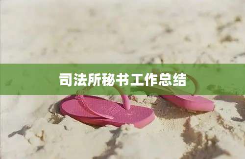 司法所秘书工作总结