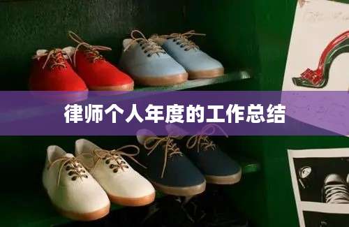 律师个人年度的工作总结