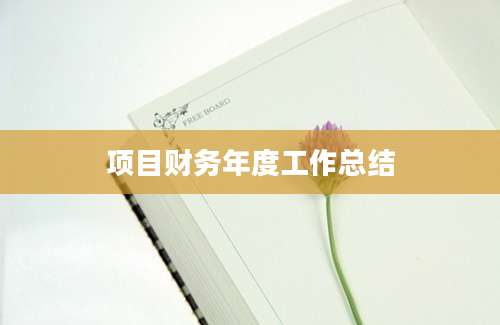 项目财务年度工作总结