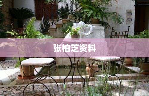 张柏芝资料