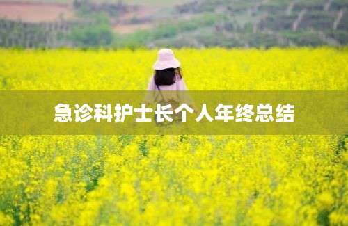急诊科护士长个人年终总结
