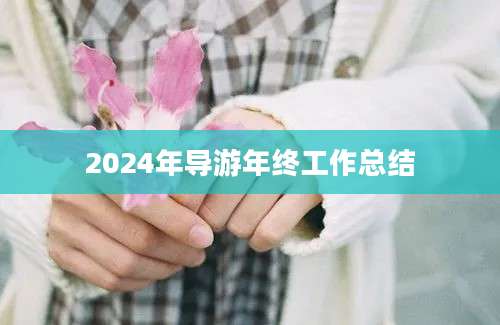 2024年导游年终工作总结
