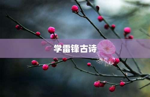 学雷锋古诗