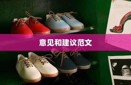 意见和建议范文