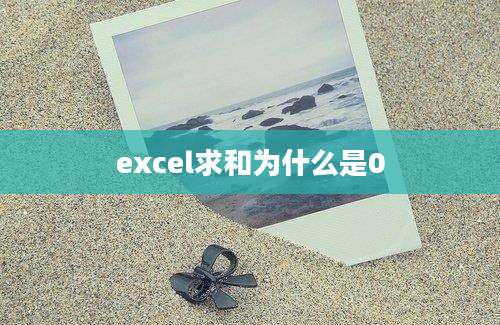 excel求和为什么是0