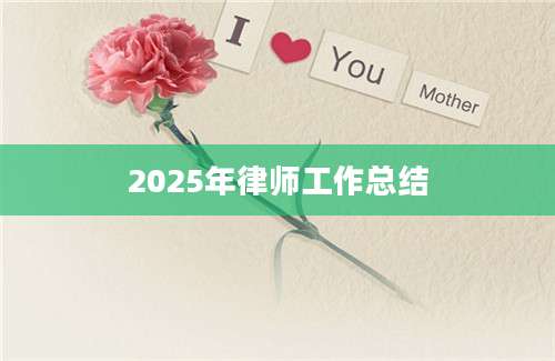 2025年律师工作总结