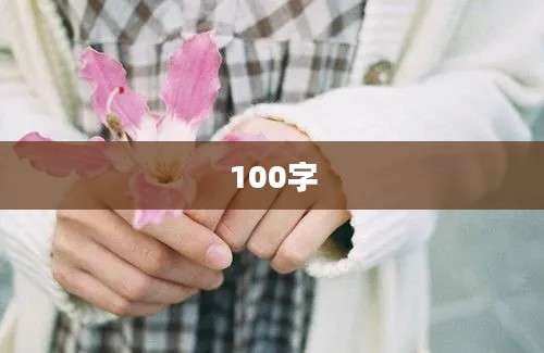 100字