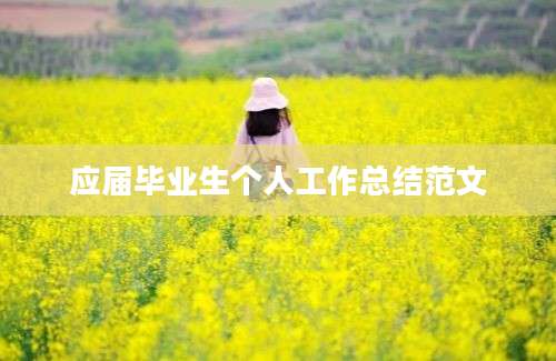 应届毕业生个人工作总结范文