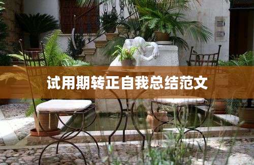 试用期转正自我总结范文